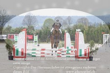 ref. photo 3140483