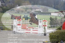 ref. photo 3140487