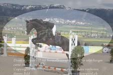 ref. photo 3140493