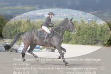 ref. photo 3140495