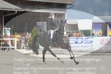 ref. photo 3140497