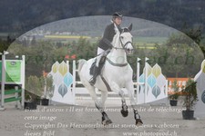 ref. photo 3140517