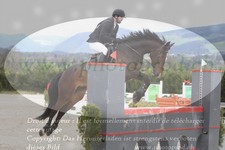 ref. photo 3140529