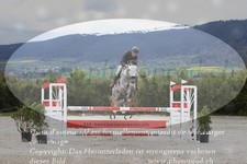 ref. photo 3140532