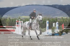 ref. photo 3140533
