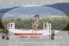 ref. photo 3140541