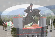 ref. photo 3140563