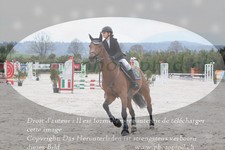 ref. photo 3140608