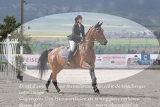ref. photo 3140617