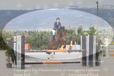 ref. photo 3140627