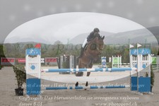 ref. photo 3140642