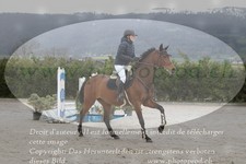 ref. photo 3140655