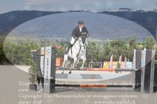 ref. photo 3140658