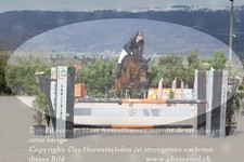 ref. photo 3140667