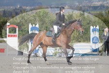 ref. photo 3140670