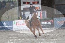 ref. photo 3140680