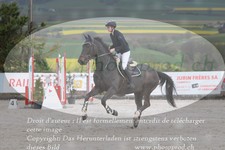 ref. photo 3140688