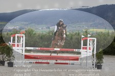 ref. photo 3140696