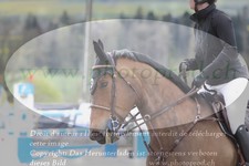 ref. photo 3140710
