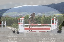 ref. photo 3140713