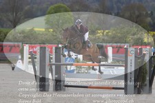 ref. photo 3140716