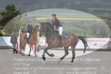 ref. photo 3140745