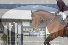 ref. photo 3140752