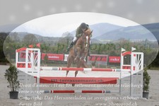 ref. photo 3140762