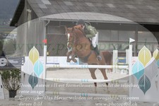ref. photo 3140764