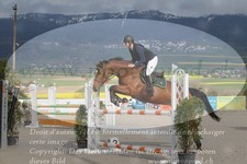 ref. photo 3140773