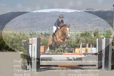 ref. photo 3140777