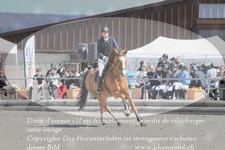 ref. photo 3140784