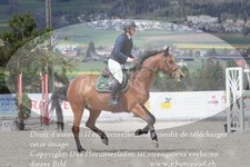 ref. photo 3140793