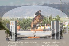 ref. photo 3140800