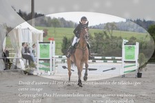 ref. photo 3140819