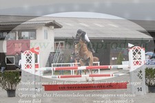 ref. photo 3140833