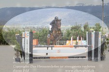 ref. photo 3140835
