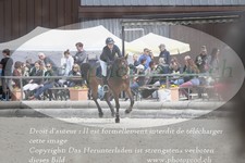 ref. photo 3140846