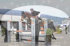 ref. photo 3140877