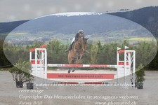 ref. photo 3140884