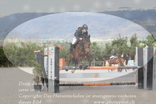 ref. photo 3140908