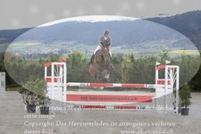 ref. photo 3140916