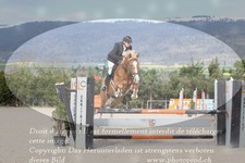 ref. photo 3140921