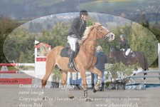ref. photo 3140924
