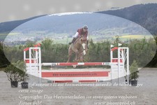 ref. photo 3140939