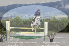 ref. photo 3140961
