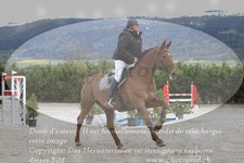 ref. photo 3140968