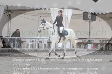ref. photo 3140973