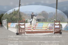ref. photo 3140975