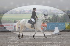 ref. photo 3140982